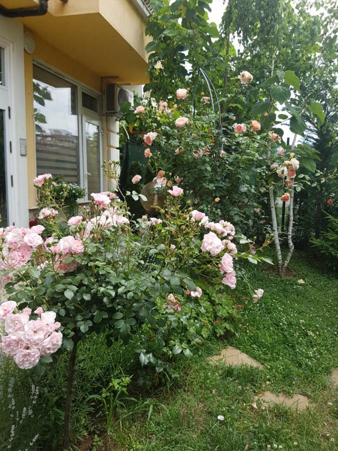 Guesthouse Zanier Nesebar Esterno foto
